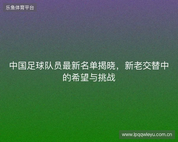 中国足球队员最新名单揭晓，新老交替中的希望与挑战
